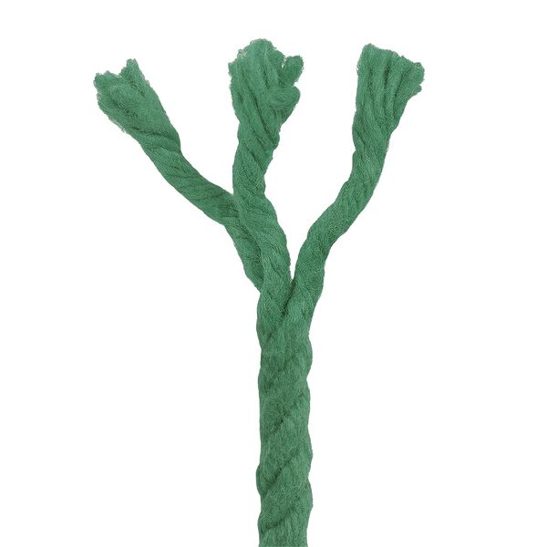 4 / 5. term&eacute;kk&eacute;p megjelen&iacute;t&eacute;se