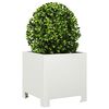 Term&eacute;kindexk&eacute;p: 4 / 12