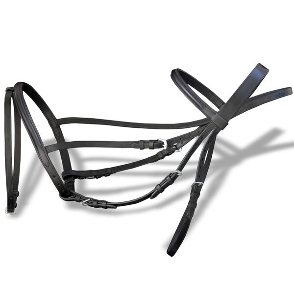 2 / 8. term&eacute;kk&eacute;p megjelen&iacute;t&eacute;se