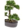 Emerald z&ouml;ld c&eacute;drus műbonsai 32 cm 420001