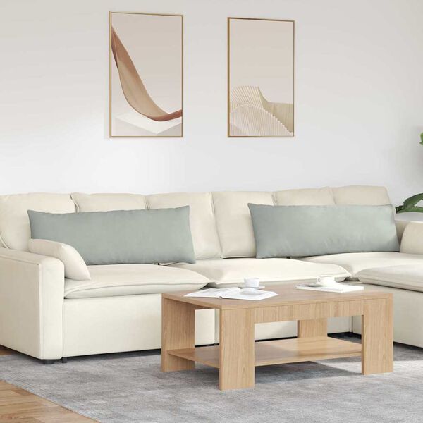 vidaXL Kanapé párnák 2 pcs Világosszürke 120 x 40 cm Bársonyos szövet