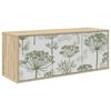 Sonoma_oak