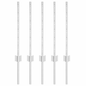 vidaXL Be&aacute;gyazott ker&iacute;t&eacute;soszlop 5 db Ez&uuml;st 100 cm Porsz&oacute;rt ac&eacute;l