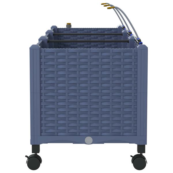 3 / 8. term&eacute;kk&eacute;p megjelen&iacute;t&eacute;se