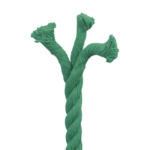 4 / 5. term&eacute;kk&eacute;p megjelen&iacute;t&eacute;se