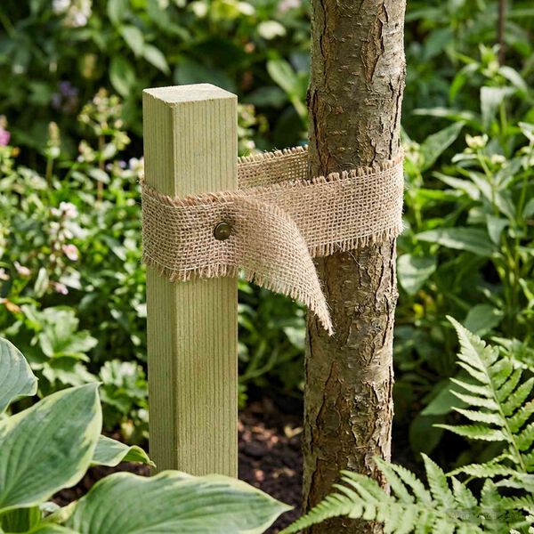 2 / 7. term&eacute;kk&eacute;p megjelen&iacute;t&eacute;se