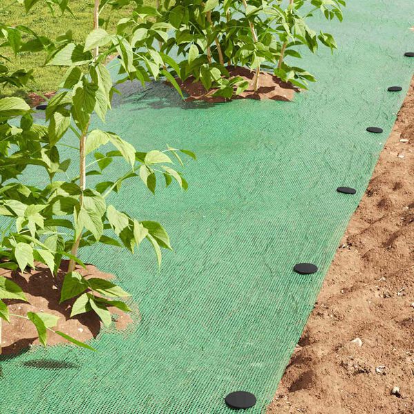 vidaXL Műanyag T&uuml;sk&eacute;k 500 pcs Fekete &Oslash;3 x 11 cm Műanyag