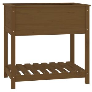 vidaXL m&eacute;zbarna t&ouml;m&ouml;r fenyőfa n&ouml;v&eacute;nytart&oacute; polccal 82,5x54x81 cm