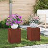 vidaXL N&ouml;v&eacute;ny&aacute;llv&aacute;ny 2 pcs Rozsd&aacute;s 24 x 24 x 35 cm Időj&aacute;r&aacute;s&aacute;ll&oacute; ac&eacute;l