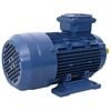 vidaXL 2 p&oacute;lus&uacute; 3 f&aacute;zis&uacute; alum&iacute;nium elektromos motor 1,5kW/2LE 2840 f/p