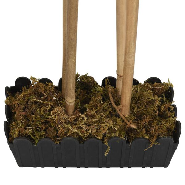 4 / 5. term&eacute;kk&eacute;p megjelen&iacute;t&eacute;se