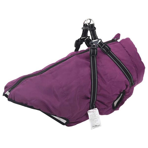 1 / 10. term&eacute;kk&eacute;p megjelen&iacute;t&eacute;se