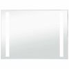 vidaXL LED-es f&uuml;rdőszobai falit&uuml;k&ouml;r 100 x 60 cm