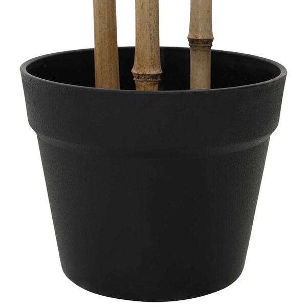 4 / 5. term&eacute;kk&eacute;p megjelen&iacute;t&eacute;se
