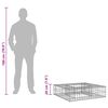 vidaXL Gabion emelt &aacute;gy Ez&uuml;st 80 x 80 x 20 cm Horganyzott ac&eacute;l