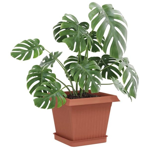 3 / 10. term&eacute;kk&eacute;p megjelen&iacute;t&eacute;se