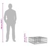 vidaXL Gabion emelt &aacute;gy Ez&uuml;st 60 x 60 x 20 cm Horganyzott ac&eacute;l
