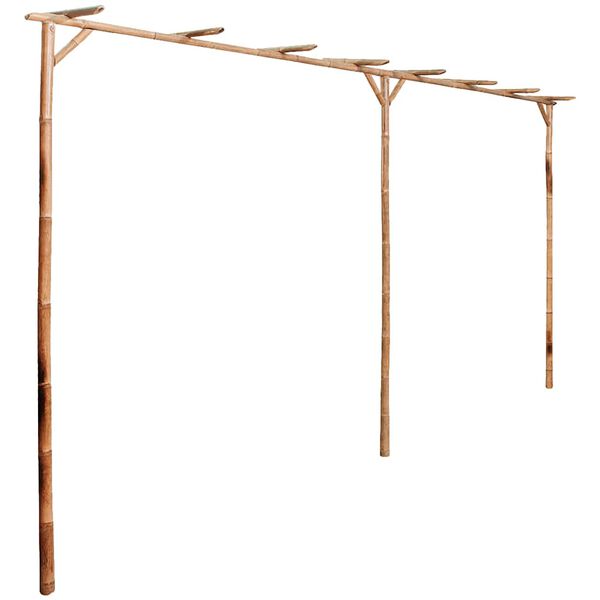 1 / 5. term&eacute;kk&eacute;p megjelen&iacute;t&eacute;se