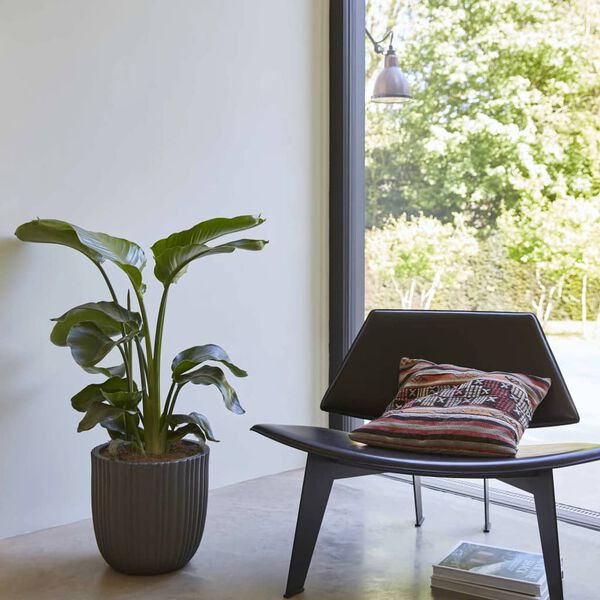 Capi Urban Tube KBLT933 fekete tojás alakú virágtartó 43 x 41 cm