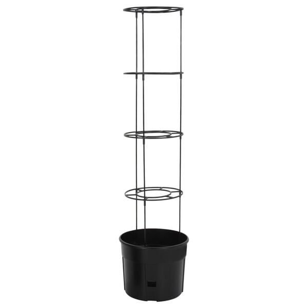 3 / 6. term&eacute;kk&eacute;p megjelen&iacute;t&eacute;se
