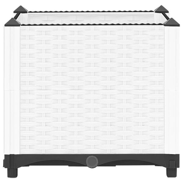 4 / 8. term&eacute;kk&eacute;p megjelen&iacute;t&eacute;se