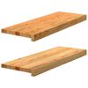 vidaXL 2 db t&ouml;m&ouml;r t&ouml;lgyfa vil&aacute;gosbarna l&eacute;pcsőfokok 70x30x2 cm