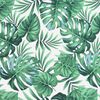 Term&eacute;kindexk&eacute;p: 9 / 10