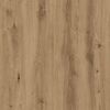 Term&eacute;kindexk&eacute;p: 10 / 13