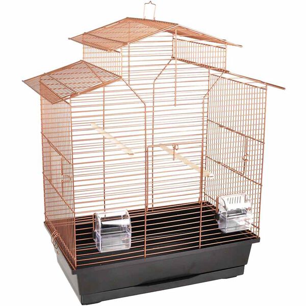 1 / 6. term&eacute;kk&eacute;p megjelen&iacute;t&eacute;se
