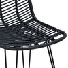 vidaXL B&aacute;rsz&eacute;k 2 pcs Fekete 44,5 x 54,5 x 97,5 cm Rattan &eacute;s Vas