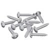 vidaXL Fa Csavarok 12 db Ez&uuml;st M3,5 x 20 mm Ac&eacute;l