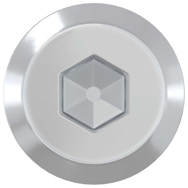 vidaXL B&uacute;torcsavarok 2 pcs Ez&uuml;st M6 x 100 mm Ac&eacute;l