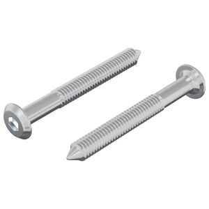 vidaXL Csavar 2 db Ez&uuml;st M6 x 50 mm Ac&eacute;l