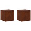 vidaXL N&ouml;v&eacute;ny&aacute;llv&aacute;ny 2 pcs Rozsd&aacute;s 40 x 40 x 40 cm Időj&aacute;r&aacute;s&aacute;ll&oacute; Ac&eacute;l