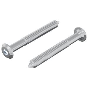 vidaXL Csavar 2 pcs Ez&uuml;st M6 x 50 mm Ac&eacute;l
