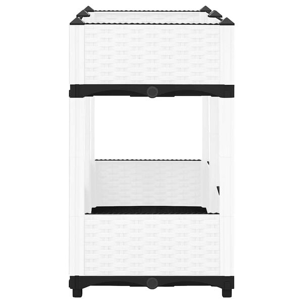 4 / 8. term&eacute;kk&eacute;p megjelen&iacute;t&eacute;se