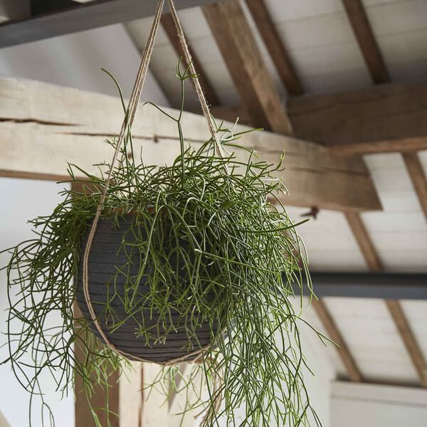 Capi Nature Row KBLRO270 fekete g&ouml;mb alak&uacute; v&aacute;za 40 x 32 cm