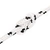 Term&eacute;kindexk&eacute;p: 4 / 6