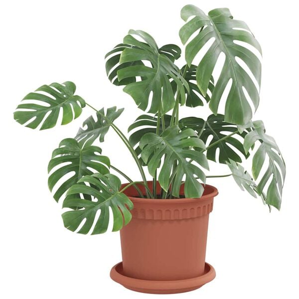 vidaXL Kerek Vir&aacute;g T&aacute;lca 6 pcs T&eacute;gla V&ouml;r&ouml;s &Oslash; 14 x 2 cm Műanyag