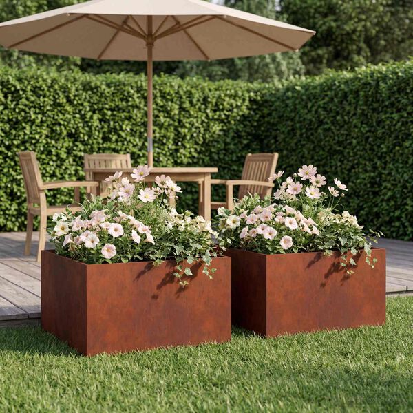 2 / 11. term&eacute;kk&eacute;p megjelen&iacute;t&eacute;se