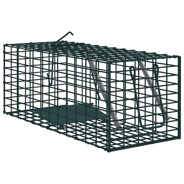 1 / 5. term&eacute;kk&eacute;p megjelen&iacute;t&eacute;se