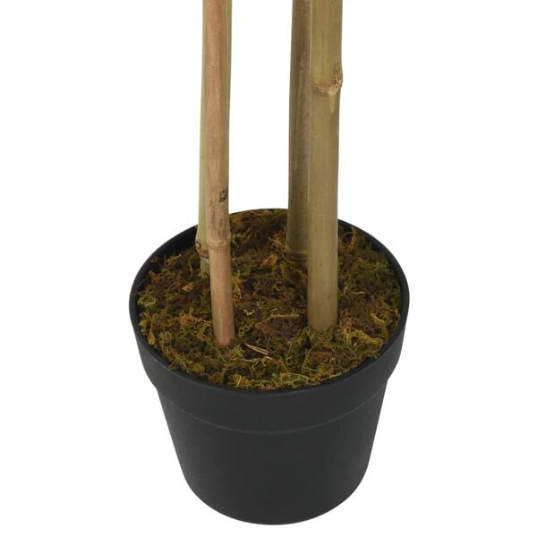 3 / 4. term&eacute;kk&eacute;p megjelen&iacute;t&eacute;se