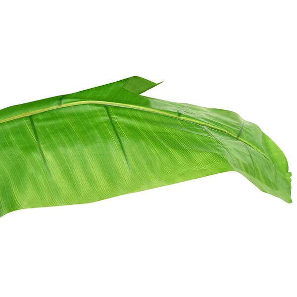 4 / 6. term&eacute;kk&eacute;p megjelen&iacute;t&eacute;se