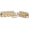 White_and_beige