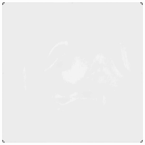 vidaXL Ponyva f&eacute;mf&uuml;lekkel &Aacute;tl&aacute;tsz&oacute; 2 x 2 m Polietil&eacute;n