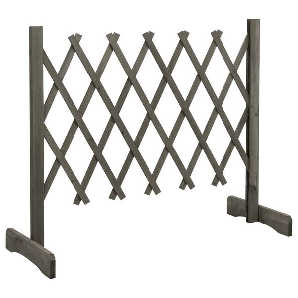 2 / 7. term&eacute;kk&eacute;p megjelen&iacute;t&eacute;se