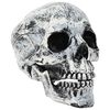 vidaXL Halloween koponya SPOOKA 2 db Feh&eacute;r 12 x 15 x 17.5 cm Műanyag