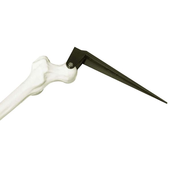 vidaXL Halloween Csontv&aacute;z Feh&eacute;r 45,5 x 13 cm Műanyag