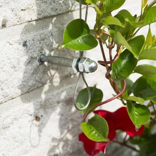 Nature dr&oacute;t ap&aacute;car&aacute;cs k&eacute;szlet fut&oacute;n&ouml;v&eacute;nyekhez