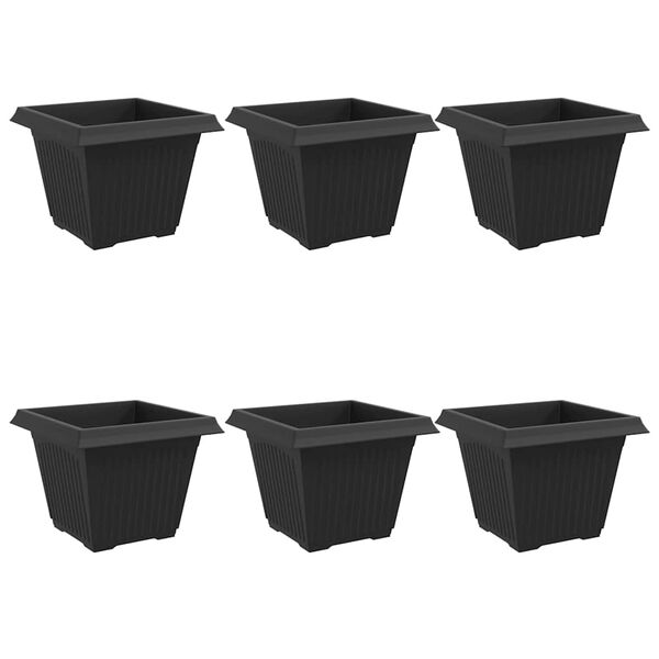1 / 10. term&eacute;kk&eacute;p megjelen&iacute;t&eacute;se